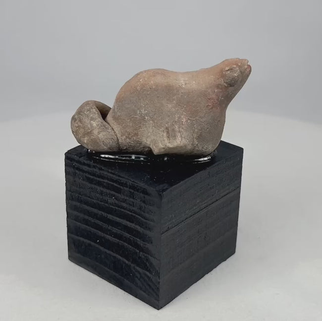360-view video of an ancient Pre-Columbian terracotta zoomorphic effigy sculpture showing full form, ceremonial opening, surface patina, and mounted display presentation