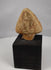 Rotating view of an ancient Egyptian or Eastern Mediterranean terracotta cobra relief fragment with a rearing serpent, ceremonial crown, curved body, hood-like background, red pigment traces, incomplete attachment point, and modern black display base