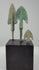 360-degree view of three ancient Western Asian bronze projectile points from the Late Bronze Age to Early Iron Age, highlighting their lanceolate, winged, and barbed blade designs, surviving tangs, and archaeological patina.
