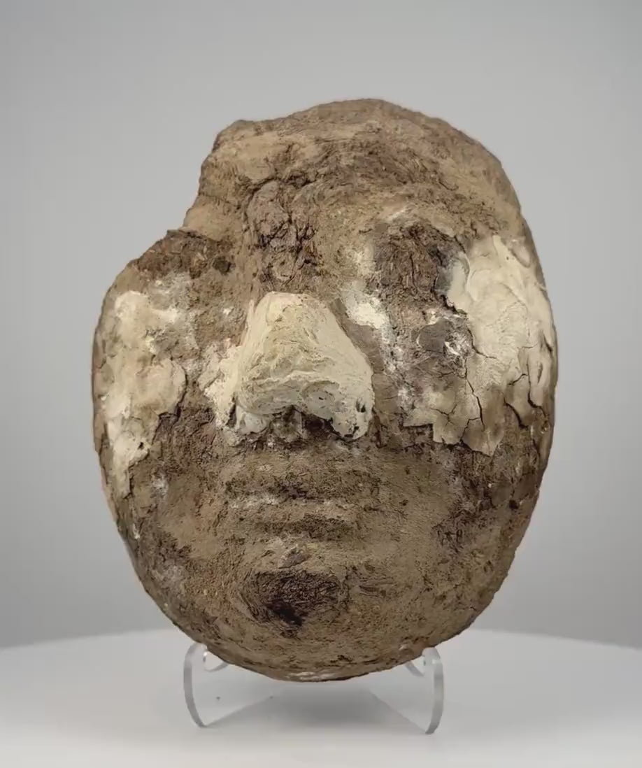 360-degree video of an ancient Egyptian stuccoed mud-and-straw funerary face fragment, showing surviving facial features, exposed plant-fibre construction, surface losses, and old collection label, formerly from the Dr. Bruce L. Ralston collection.