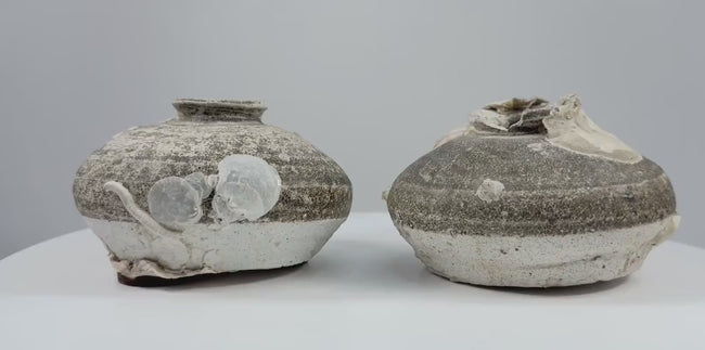 Video showcasing a pair of Sawankhalok shipwreck jarlets, circa the 15th–16th century, with squat stoneware bodies, flared rims, partial brown glaze, and marine encrustations.
