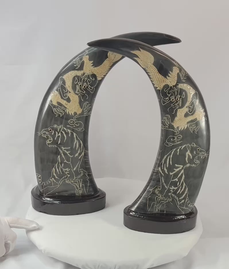 Mid–late 20th-century East Asian polished water buffalo horn sculptures etched and painted in gold with celestial dragons and prowling tigers amidst clouds, mounted on black lacquered bases, mirrored composition, circa 1960–1980.