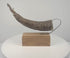 Rotating 360-degree view of an antique Tibetan carved ritual horn, showing its curved form, makara tip, decorative carvings, and aged patina.