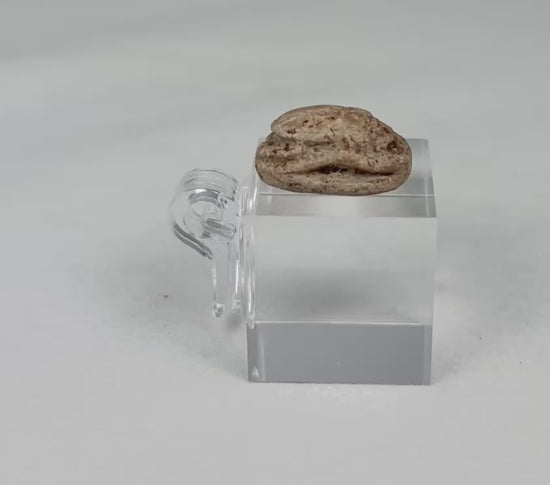 Rotating view of an authentic Ancient Egyptian steatite scarab amulet showing the carved beetle back, engraved underside, and aged desert patina from circa 1500–600 BC