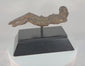 Video showing a 17th-century European Baroque carved wooden crucifix depicting Christ with bowed head, detailed hair and beard, emaciated limbs, carved loincloth, and a naturally aged patina from centuries of devotional use.