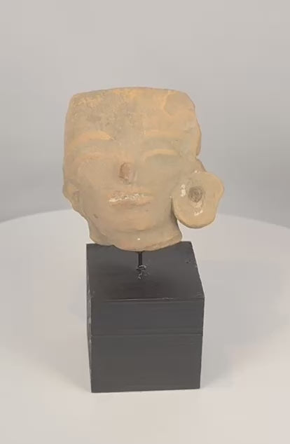 Rotating view of an authentic Pre-Columbian West Mexican terracotta head fragment featuring a prominent ear spool ornament, traces of original pigment, and ancient ceramic craftsmanship, displayed on a custom stand.