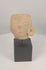 Rotating view of an authentic Pre-Columbian West Mexican terracotta head fragment featuring a prominent ear spool ornament, traces of original pigment, and ancient ceramic craftsmanship, displayed on a custom stand.