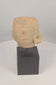 Rotating view of an authentic Pre-Columbian West Mexican terracotta head fragment featuring a prominent ear spool ornament, traces of original pigment, and ancient ceramic craftsmanship, displayed on a custom stand.