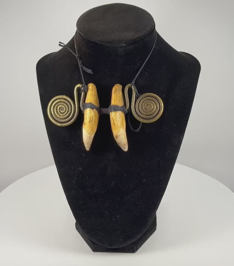 Video showcasing an antique Naga warrior status ornament with paired animal canine teeth, black textile binding, large brass spirals and suspension cord, late 19th–early 20th century