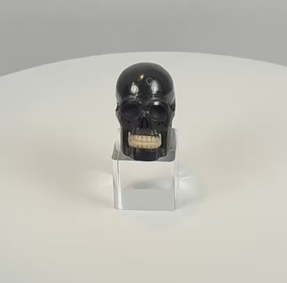 Detailed video view of the antique carved horn memento mori skull, showing its polished black surface, facial carving, and contrasting teeth