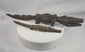 Video showing pair of Mali Bamana-Bozo attributed wooden crocodile carvings from multiple angles and close-up details
