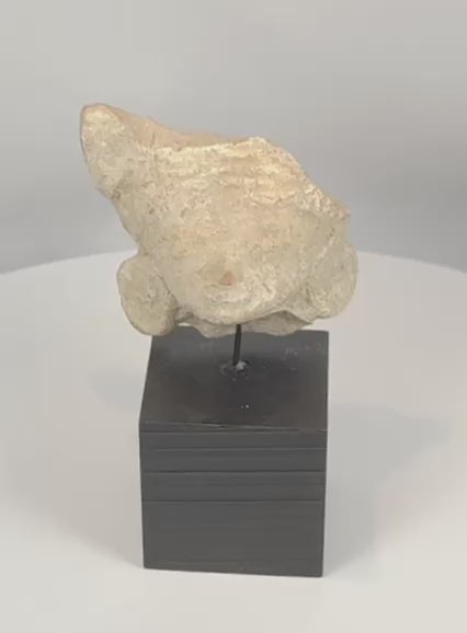 360-degree view of a Pre-Columbian terracotta head fragment featuring a stylized human face, closed eyes, circular ear ornaments, and remnants of an elaborate headdress, Mesoamerica, circa 300 BCE–600 CE.