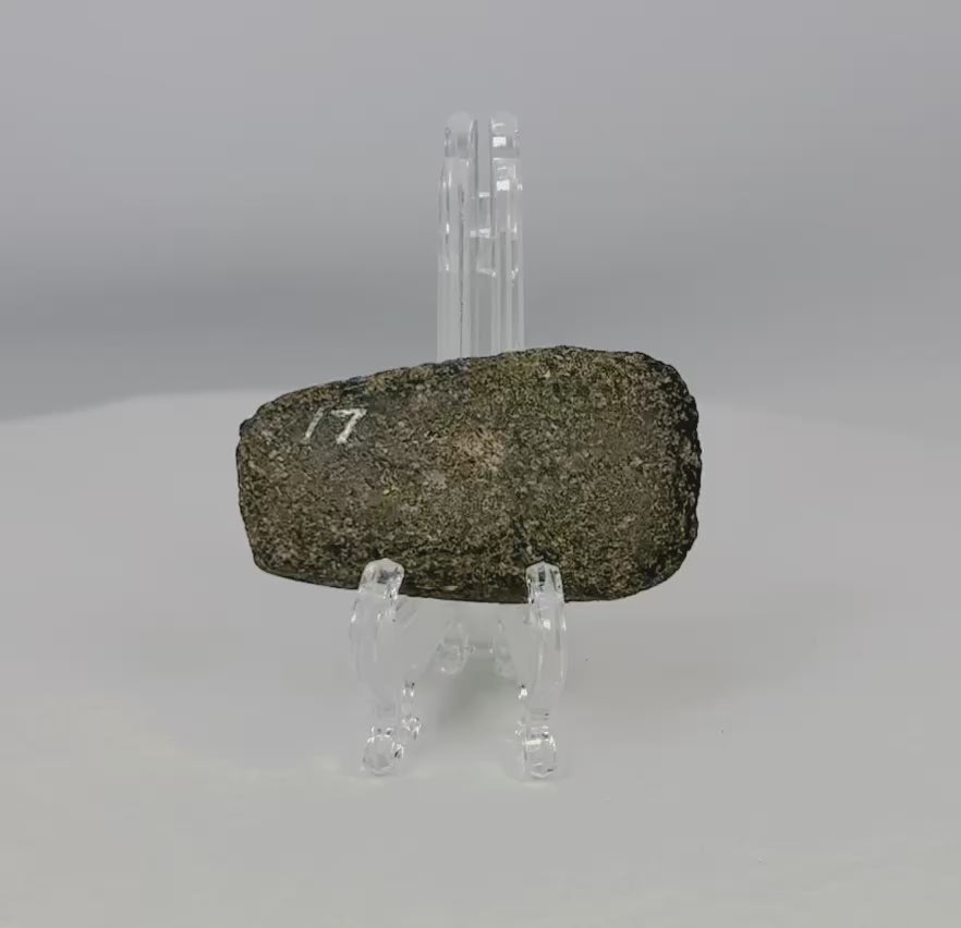 Pre-Columbian Andean ground-stone axe from Ecuador or Peru, 200–800 CE. Small utilitarian tool with fully ground faces, steep beveled cutting edge, and rounded use-worn edge. Archaeological numbering confirms provenance. Reflects daily life, practical craftsmanship, and durable stone-working technology of ancient Andean societies.