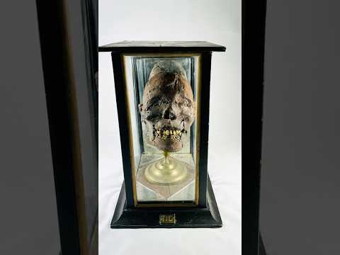 Video of 19th-century mummified head known as “TIC,” displayed in a glass and brass case. Relic from carnival and sideshow history, featured by Relic and Rarity.