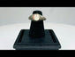 Ancient silver ring from the Mediterranean or Near East, 1st Millennium BCE, featuring a polished carnelian intaglio with traces of engraved motif. Smooth silver band with natural patina highlights the gemstone, reflecting its use as both a personal adornment and protective talisman in antiquity.
