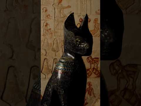 Video of Ancient Egyptian cat mummy X-rayed revealing internal remains and linen wrappings, featured by Relic and Rarity.