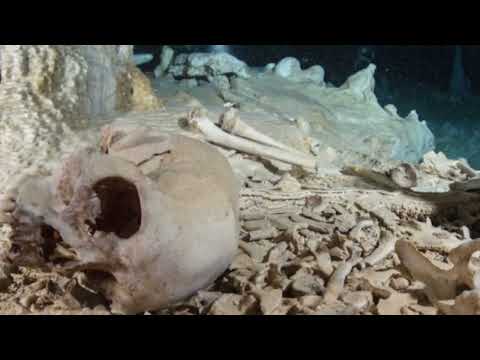 Video exploring a 19th-century Tibetan Tantric bone apron (rus gyan), sacred Buddhist ritual object crafted from human and animal bone, symbolizing impermanence and spiritual transformation | Relic and Rarity