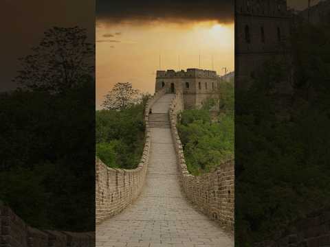 Tang Dynasty terracotta female court musician seated and playing a traditional Chinese pan flute, with traces of original red and white pigment, flowing robes, and detailed coiffure; authentic 7th–9th century funerary mingqi figure displayed on a carved wooden base.