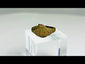 360-degree rotating video of an ancient bronze ring from the early Common Era