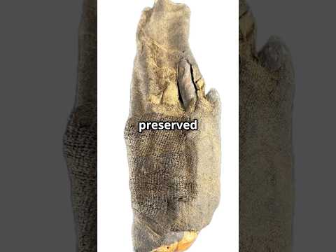 Video showcasing genuine ancient Egyptian mummified hand, 700–200 BCE, DNA-tested and X-ray verified by Paleo DNA Laboratory, presented by Relic and Rarity.