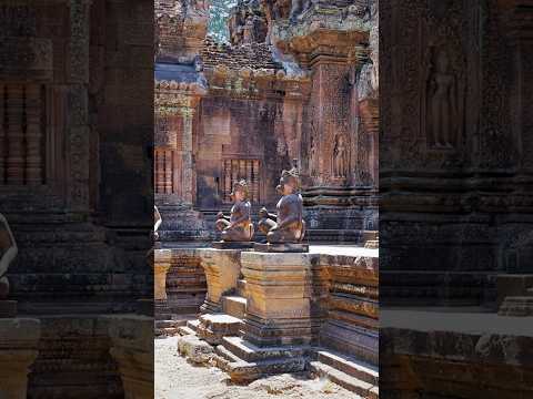 Video presentation titled ‘A Face That Watched Empires Fall,’ featuring an ancient Gandhara stone Buddha fragment from 1st–5th century AD with historic temple imagery.