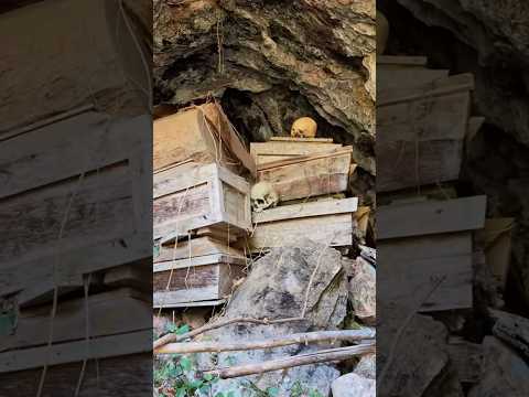 Mini documentary examining an ancient West Mexican terracotta ritual figure head from the Nayarit or Jalisco region, showcasing expressive sculptural features and traces of original pigment.