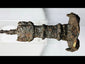 Ancient Luristan iron short sword, circa 750–650 BCE, from Western Iran. Features a lion-head disc pommel, ribbed grip, and double-edged blade with natural patina. Rare Iron Age weapon symbolizing strength, craftsmanship, and ceremonial use in the Ancient Near East.