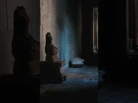 Video showing a large Chinese polychrome terracotta temple figure head from the late Qing to early Republic period, featuring hand-modeled facial details, traces of mineral pigment and lacquer, and mounted on a wooden display stand.
