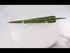 Video of ancient leaf-form bronze spearhead, circa 2500–1900 BCE, rotating display on white background | Relic and Rarity