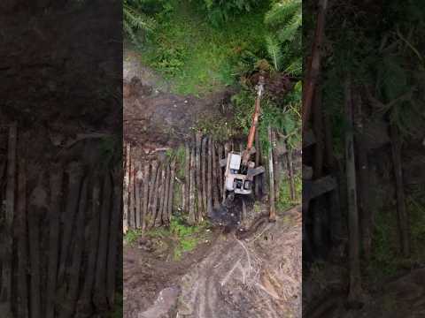 Excavation site uncovering an ancient Majapahit stone Brahma sculpture in a forested area, discovered during a tiger pit dig — archaeological unearthing video by Relic and Rarity.