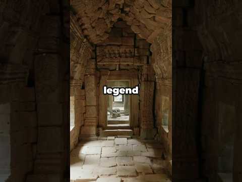 Video showcasing a 16th-century Renaissance carved wood panel featuring mythical creatures, a stag hunt, and a heraldic crest.