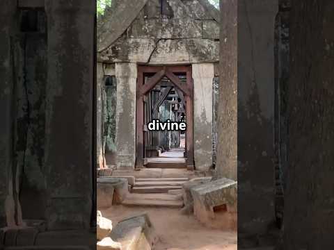 Mini documentary exploring an ancient Khmer stone fragment from the Angkor period, highlighting Buddhist devotion and temple architecture