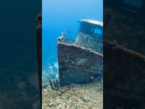 Video of a sunken shipwreck where the recovered 18th–19th century copper coins originated.