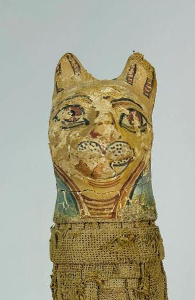 Close-up of the painted feline head from an Ancient Egyptian cat mummy votive offering.