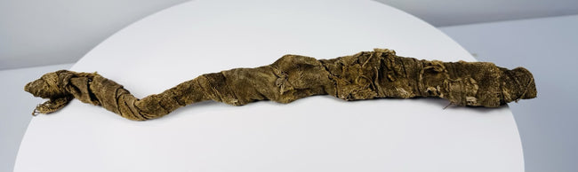 Close detail of ancient Egyptian crocodile mummy showing woven linen, folded wrappings, and exposed aged fibres