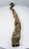 Sacred Sobek votive crocodile mummy from Egypt dating to the Late Period through Early Roman Period