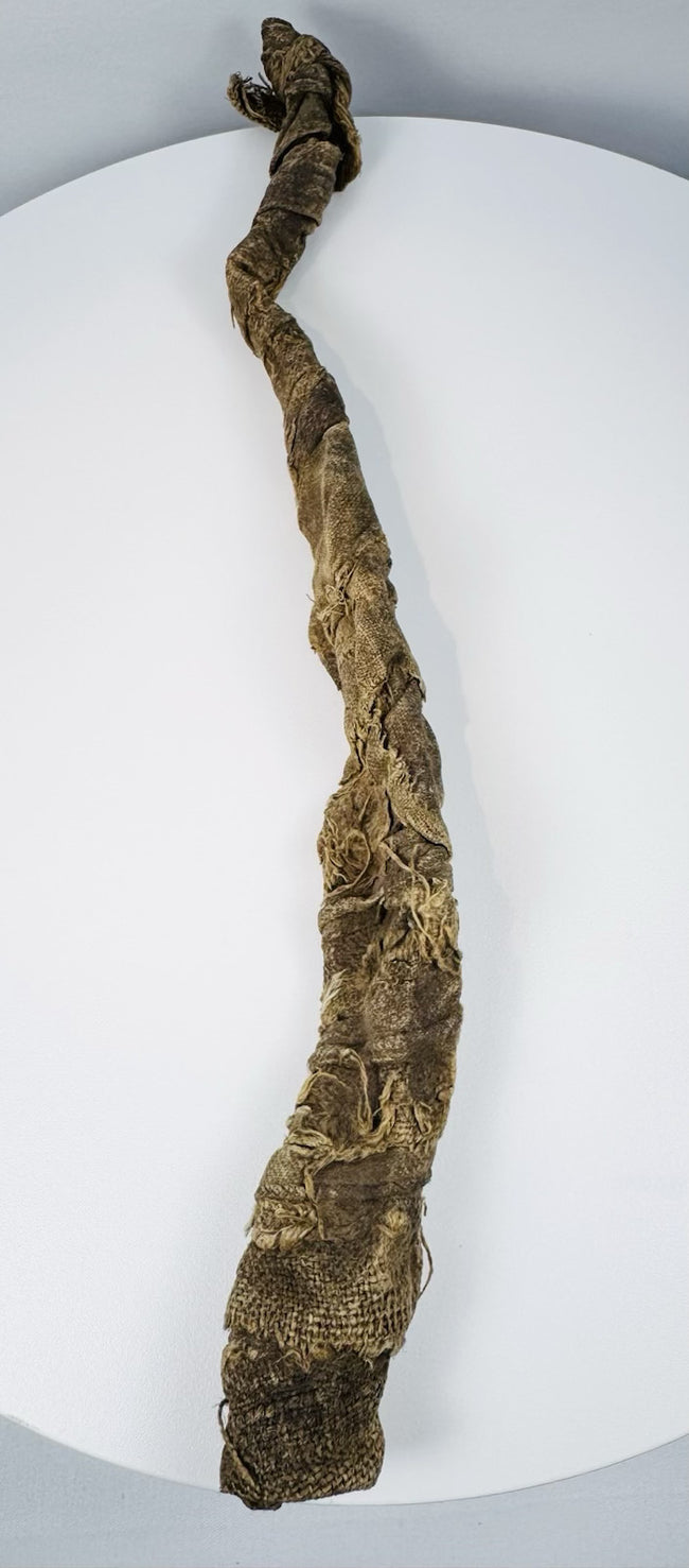 Ancient Egyptian mummified crocodile with frayed linen fibres, overlapping textile bands, and aged surface