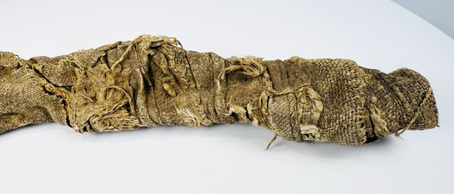 Ancient Egyptian crocodile animal mummy showing original linen wrapping and natural age-related wear