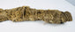 Ancient Egyptian crocodile animal mummy showing original linen wrapping and natural age-related wear