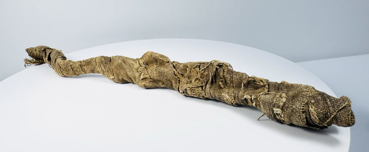 X-ray verified Egyptian juvenile crocodile mummy from an original matched pair of votive offerings