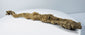 X-ray verified Egyptian juvenile crocodile mummy from an original matched pair of votive offerings