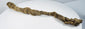 Ancient Egyptian Sobek votive crocodile mummy with preserved layered linen wrappings