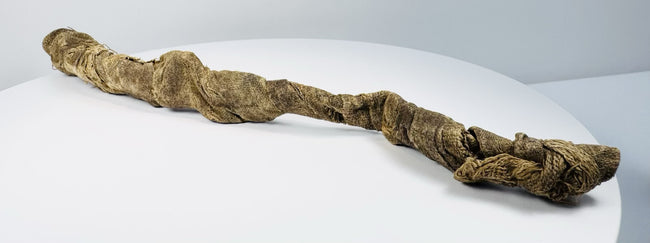 X-ray verified ancient Egyptian crocodile mummy associated with the worship of Sobek