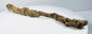 X-ray verified ancient Egyptian crocodile mummy associated with the worship of Sobek